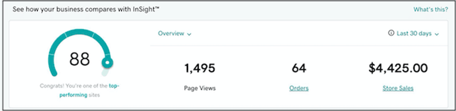 GoDaddy insight tool